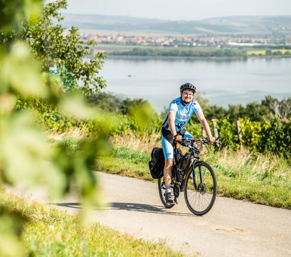 Na kole a pěšky za vůní Pálavy