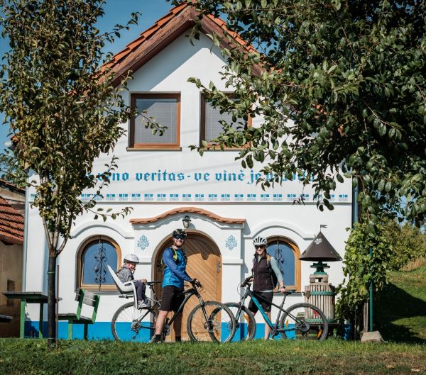 Tour de burčák po vinařských stezkách Kyjovska
